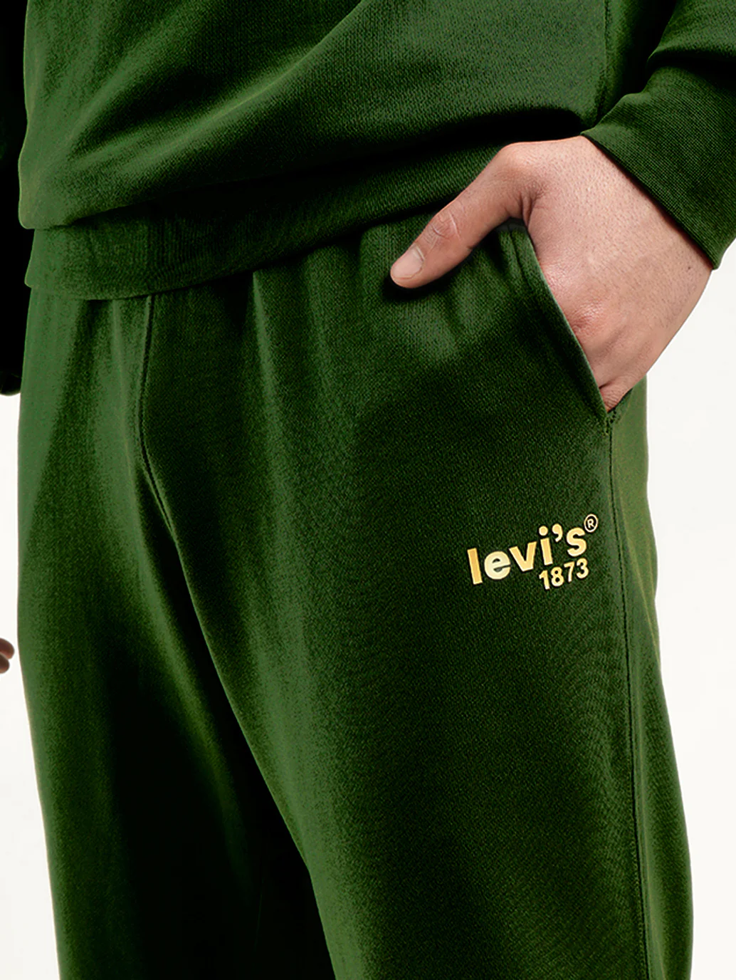 Men's Green Regular Fit Trousers - Image 4