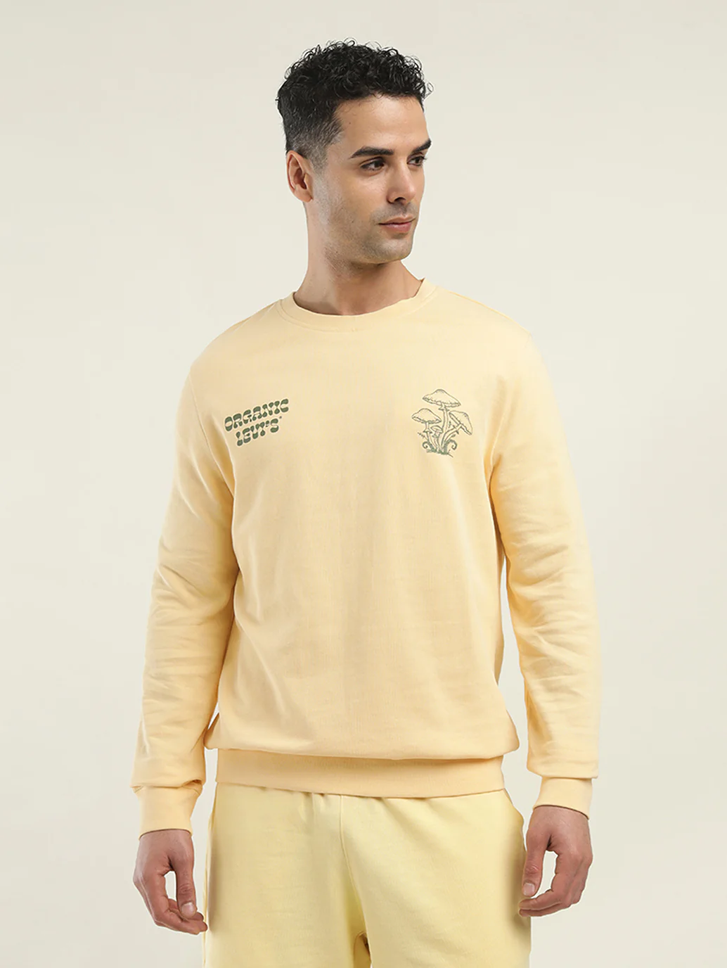 Men's Solid Crew Neck Sweatshirt - Image 2