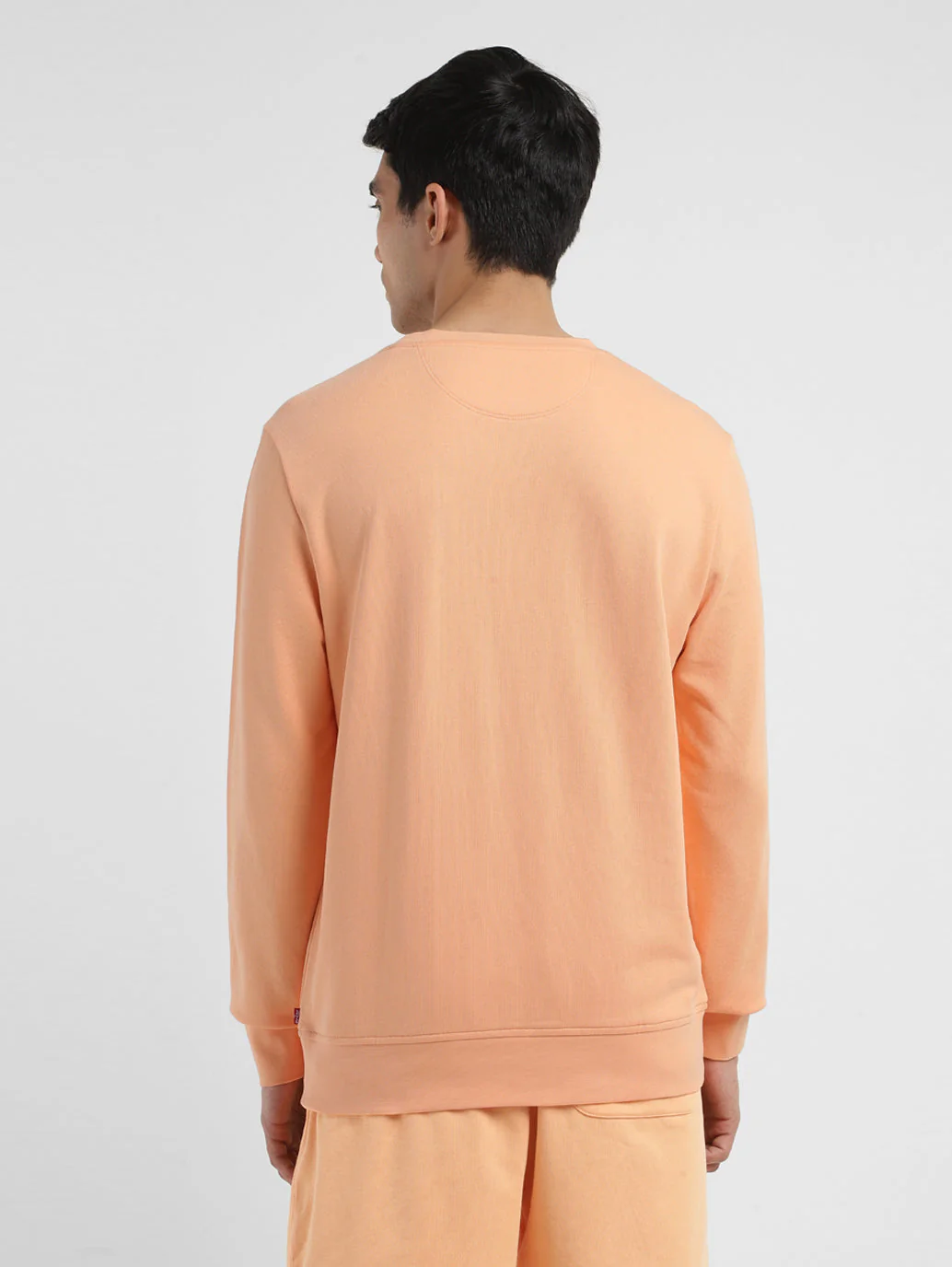 Men's Solid Peach Crew Neck Sweatshirt - Image 3