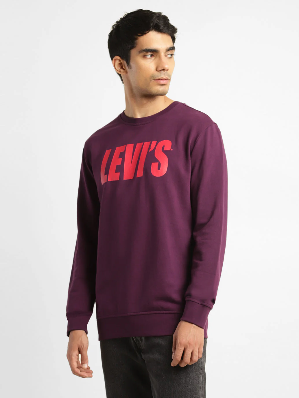 Men's Solid Purple Crew Neck Sweatshirt - Image 4