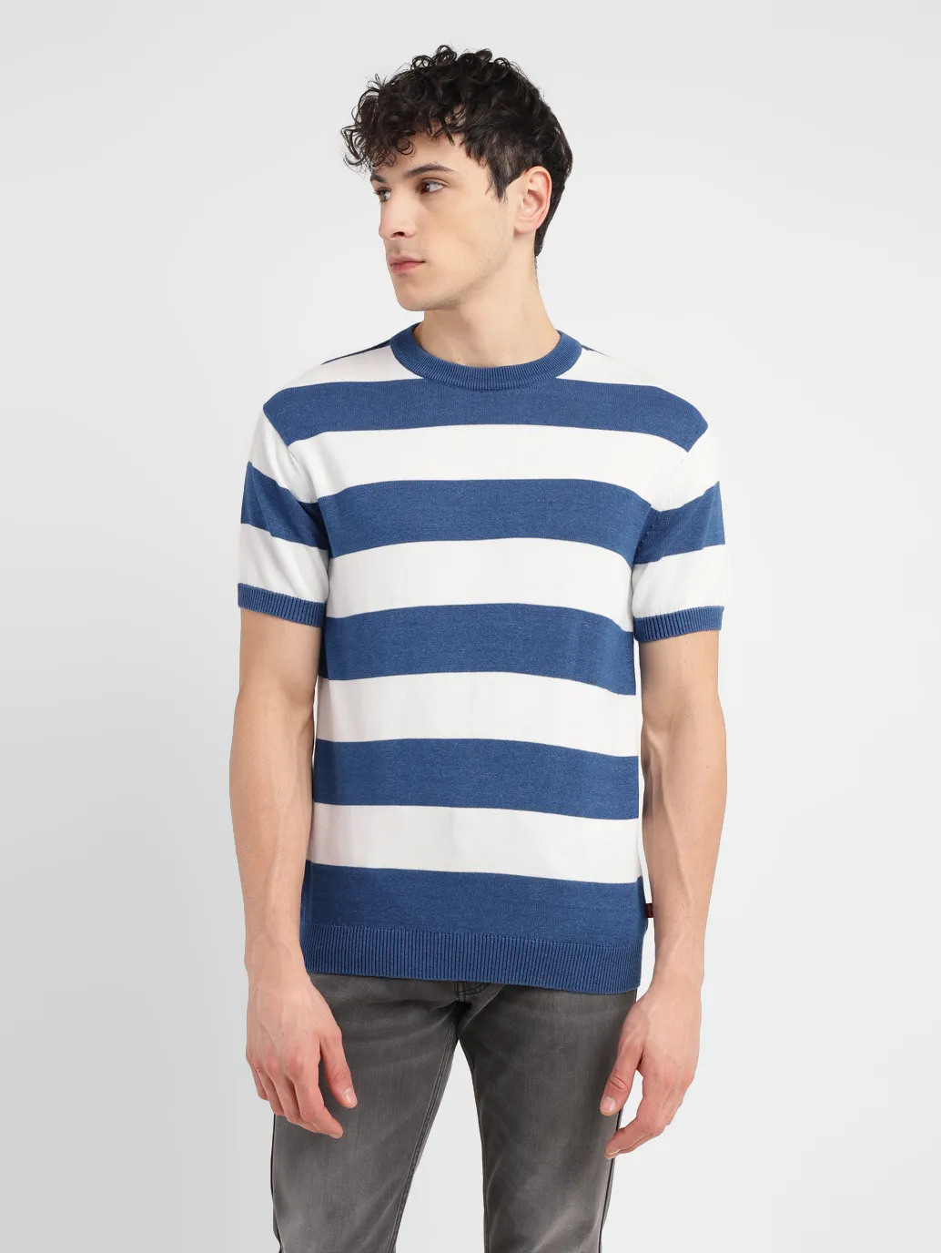 Men's Striped Blue Crew Neck Sweater - Image 2