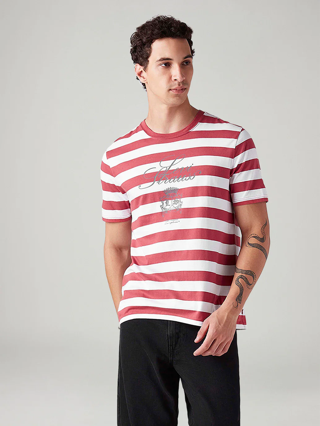 Men's Striped Regular Fit T-Shirt