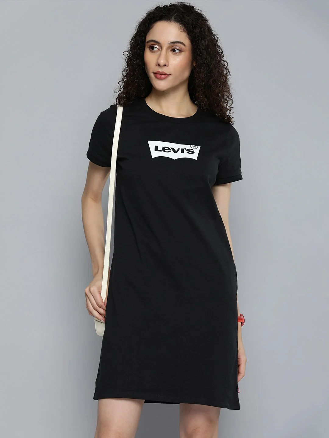 Women Regular Fit Dress