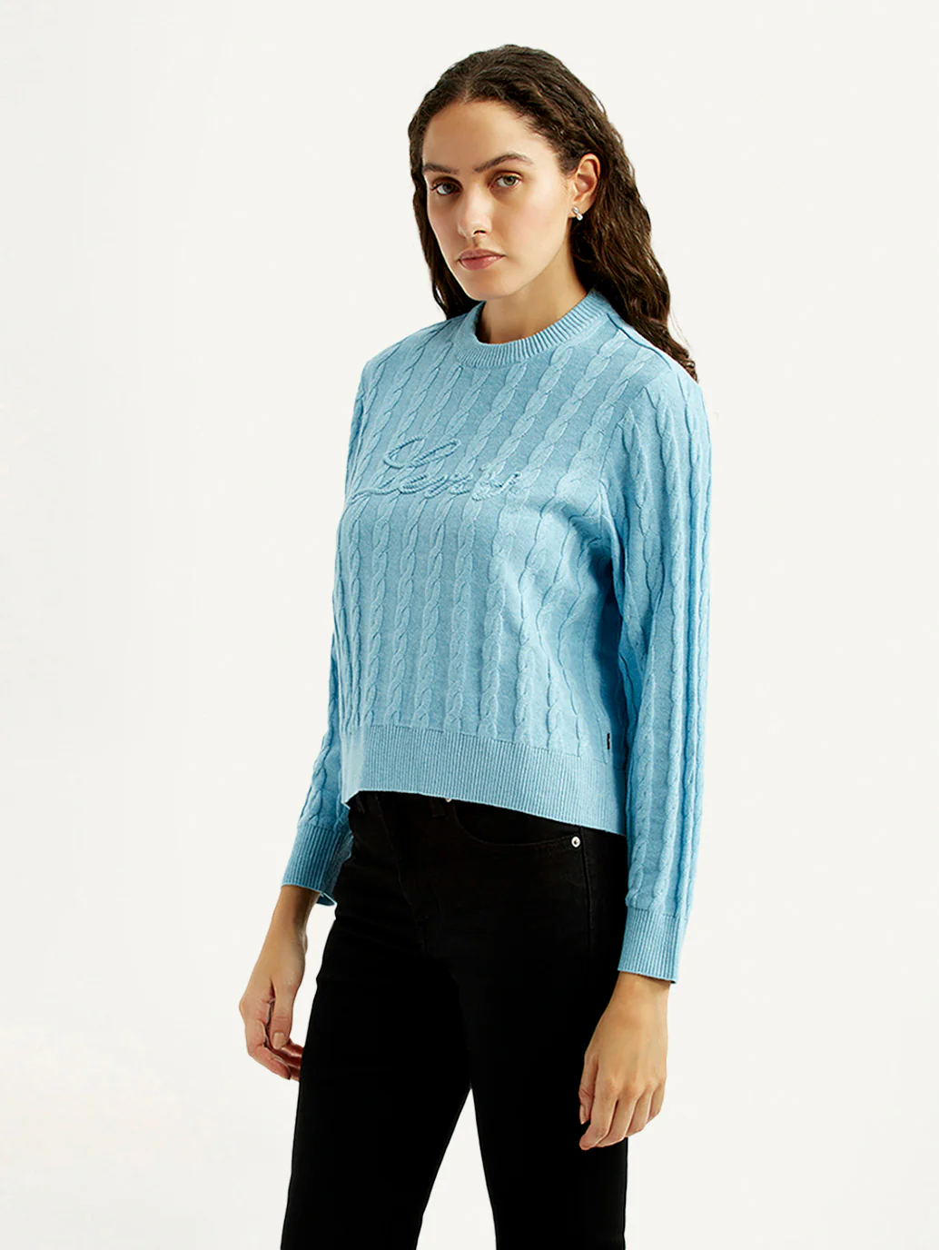 Women's Jacquard Blue Crew Neck Sweater - Image 4