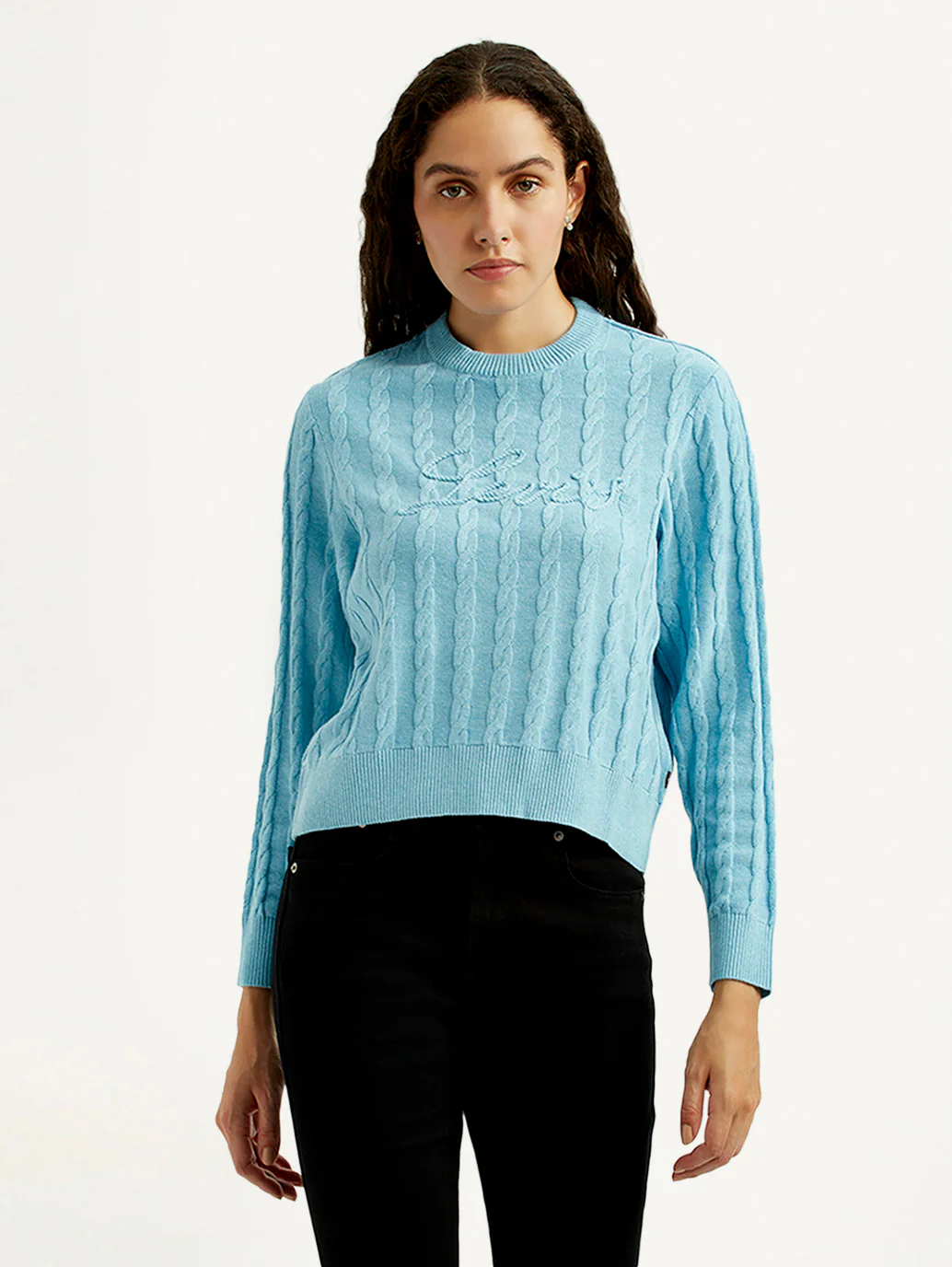 Women's Jacquard Blue Crew Neck Sweater - Image 5